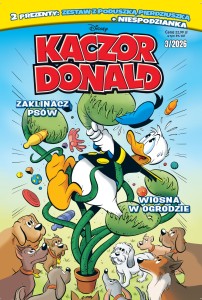 Kaczor Donald od nr 4/26 ( 8 wydań) + gratis   
